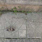 Распределитель тормозной силы для Mitsubishi Lancer 7