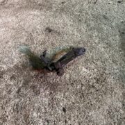 Натяжитель ремня генератора для Nissan Primera P10