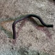 шланг) для Nissan Primera P10