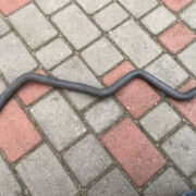 Патрубок (трубопровод