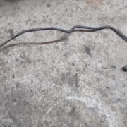 Трубка гидроусилителя для Rover 200 R3